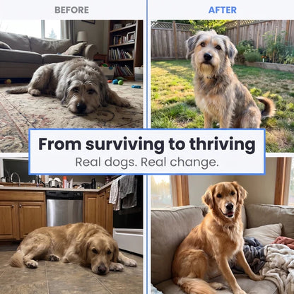 Troo Taurine: #1 Rated Taurine by 2100+ Vets