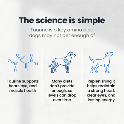Troo Taurine: #1 Rated Taurine by 2100+ Vets